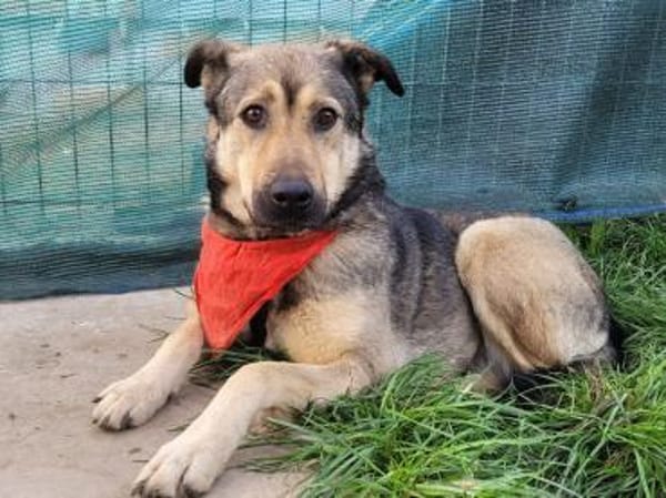 THALIA, ruhig, hungrig nach Liebe