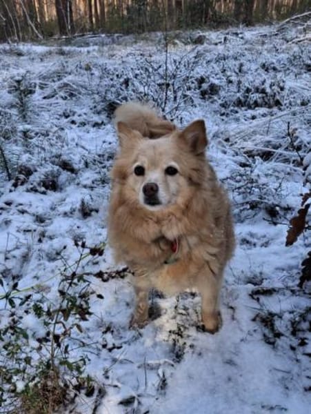 Jimena verdient ganz viel Liebe.....