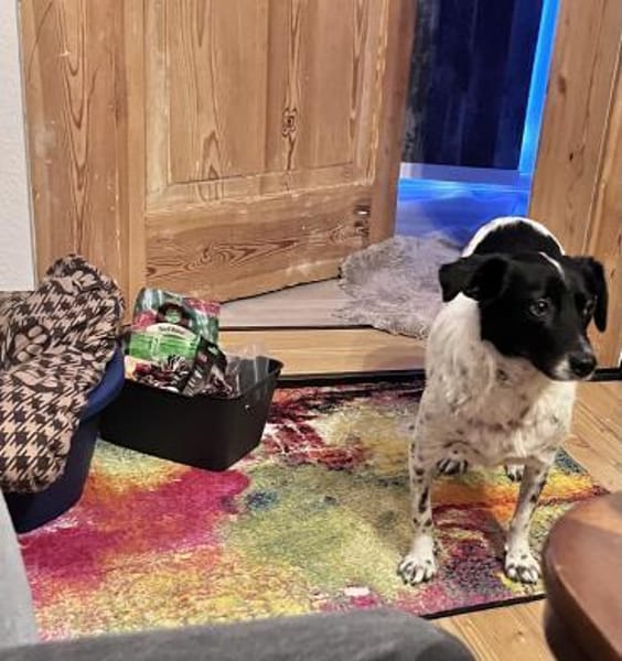 Jolie möchte endlich ankommen