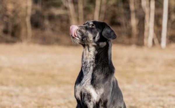 Zera sucht ihre Lieblingsmenschen