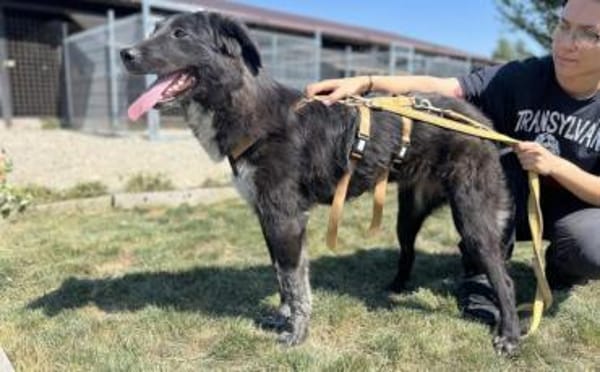 Ivy - voller Energie und Lebensfreude!