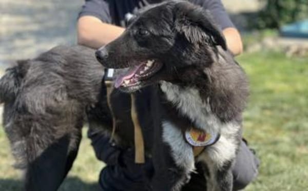 Ivy - voller Energie und Lebensfreude!