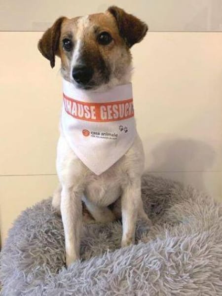 MIRKA sucht Geborgenheit