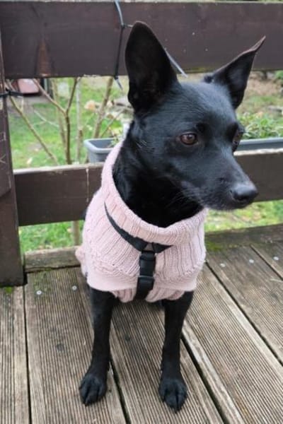 Zora in 90530 Wendelstein