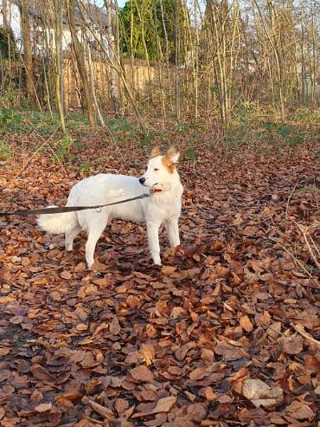 Tonya-jung, klug und regelverliebt