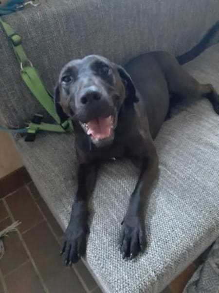 Santal - Lebensfreude pur