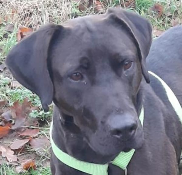 Santal - Lebensfreude pur