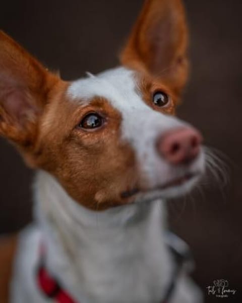 Sanfte Nami wartet in 13509 Berlin