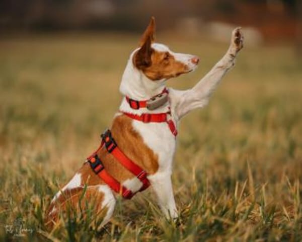 Sanfte Nami wartet in 13509 Berlin