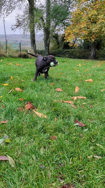 Paty, le rayon de douceur