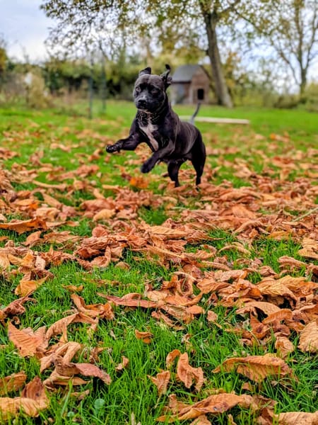 Paty, le rayon de douceur