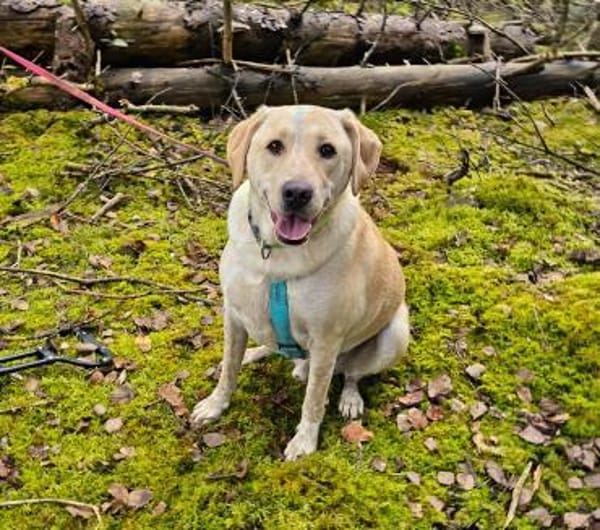 Nacho sucht seine Menschen