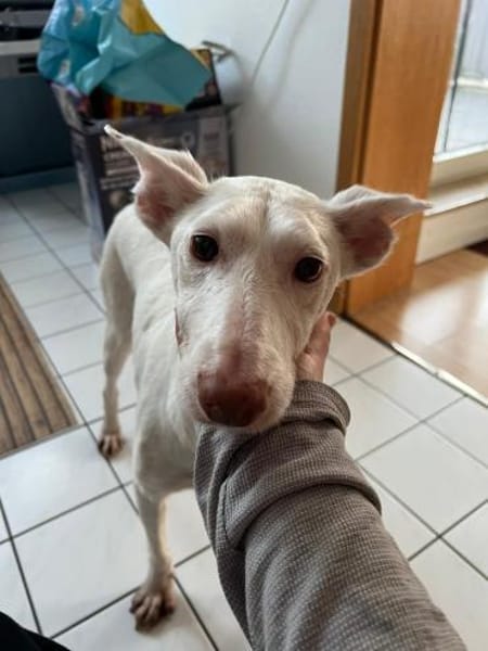 Susona - liebevoll und gemütlich