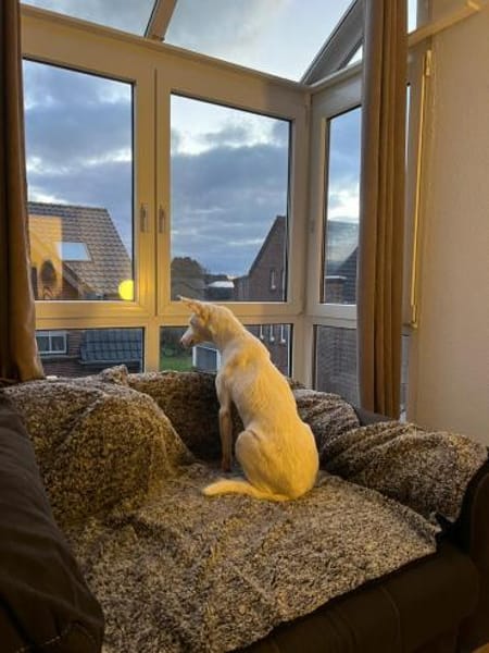 Susona - liebevoll und gemütlich