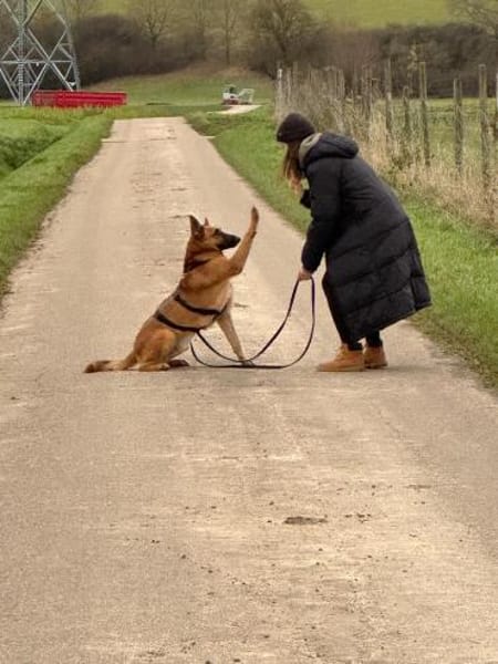 Weihnachtswunder für Tommy?