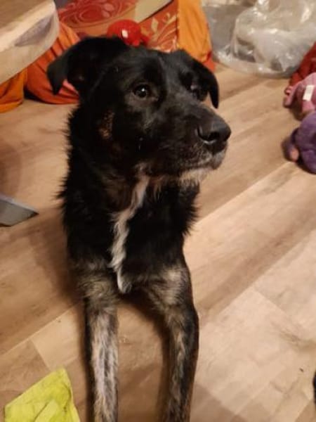 MIRÒ - er sucht Paten