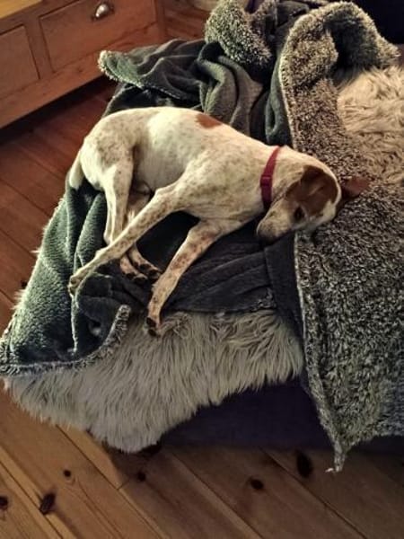 Tutú - souverän und lernwillig