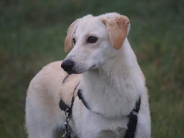 Geo freut sich auf Sie!