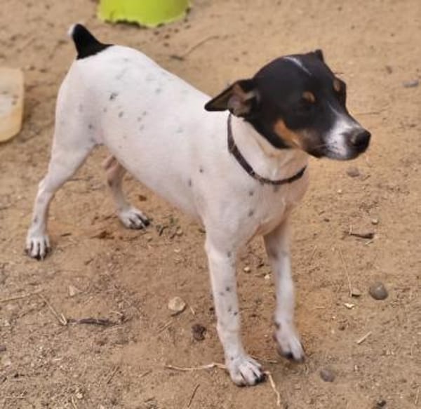 Redford - lernwillig und sozial