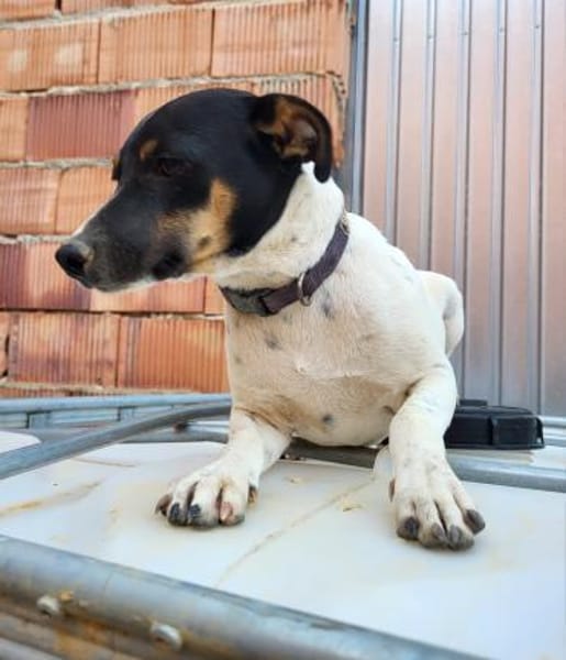 Redford - lernwillig und sozial