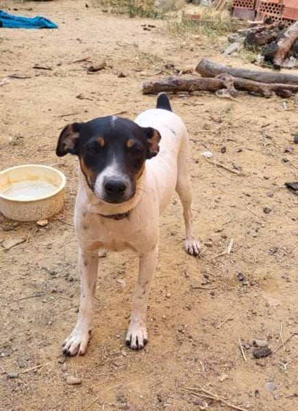 Redford - lernwillig und sozial