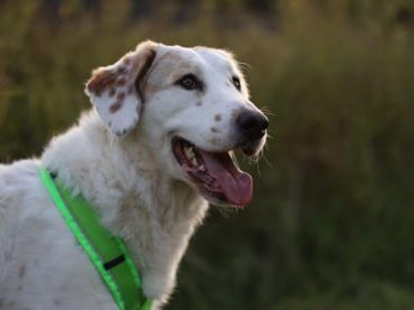 Frisko freut sich auf Sie!