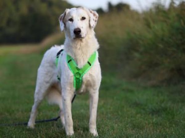 Frisko freut sich auf Sie!