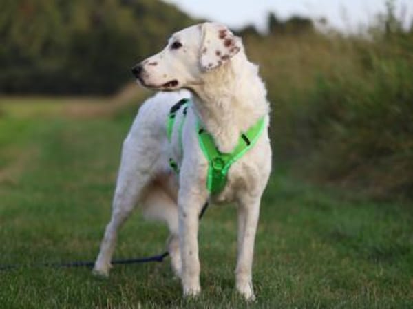 Frisko freut sich auf Sie!