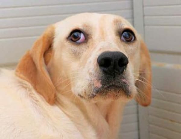 SOLE - wann scheint endlich ihre Sonne?