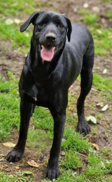 OTTO 2 sucht seine Menschen