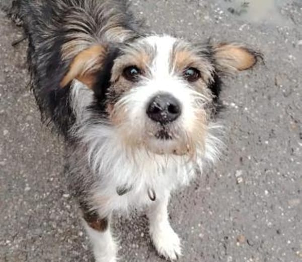 quirliger Düse sucht