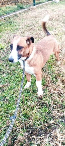 Kopè möchte ein Ticket ins Glück