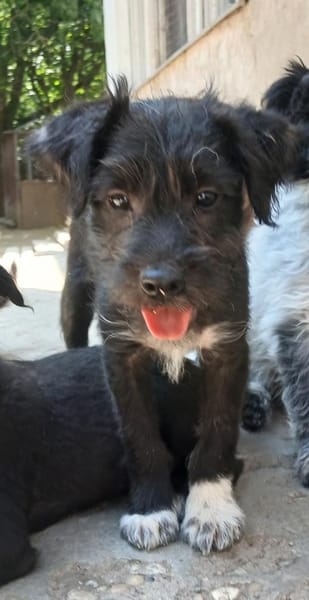 Erik sucht seine Familie