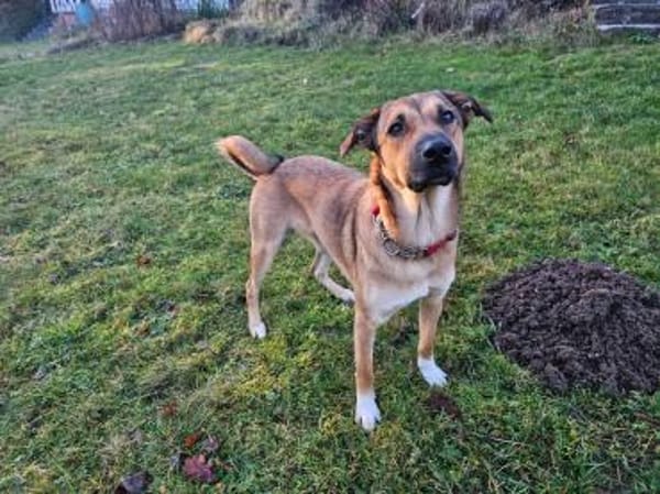 Malou sucht das große Glück