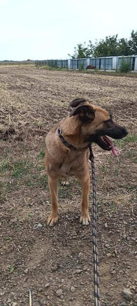 Liebenswerte Mira sucht euch