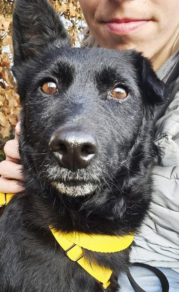 Cora mag erlebnisreiche Spaziergänge