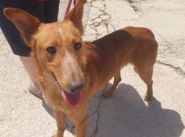 Mario 2 - lieb, sozial und sportlich