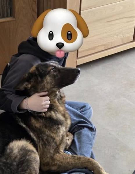 SHARUKH wäre gern dein Freund