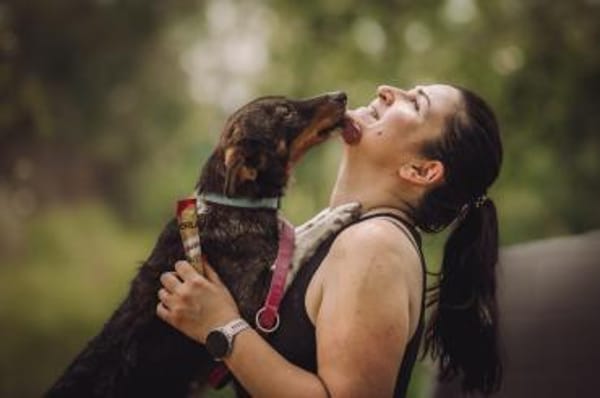 Joshi - freundlich & lieb