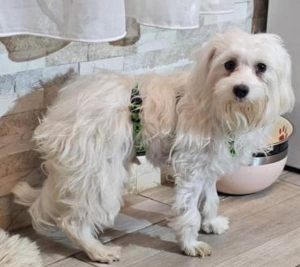 Wer hilft Lubert Vertrauen aufzubauen?