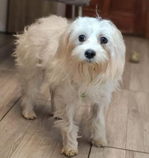 Wer hilft Lubert Vertrauen aufzubauen?