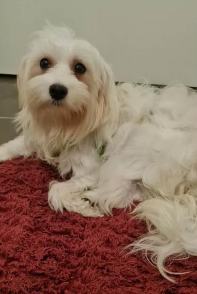 Wer hilft Lubert Vertrauen aufzubauen?