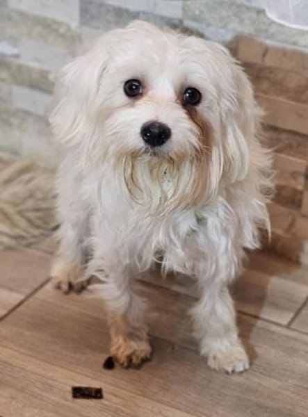 Wer hilft Lubert Vertrauen aufzubauen?