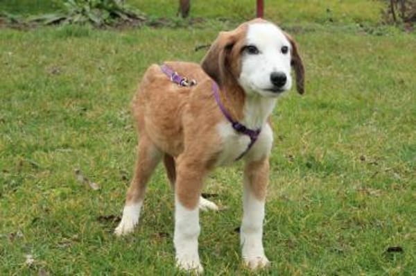 Emrina unsere kleine Schönheit