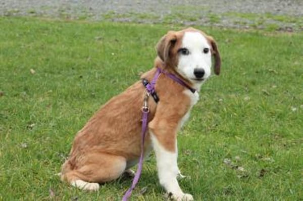 Emrina unsere kleine Schönheit