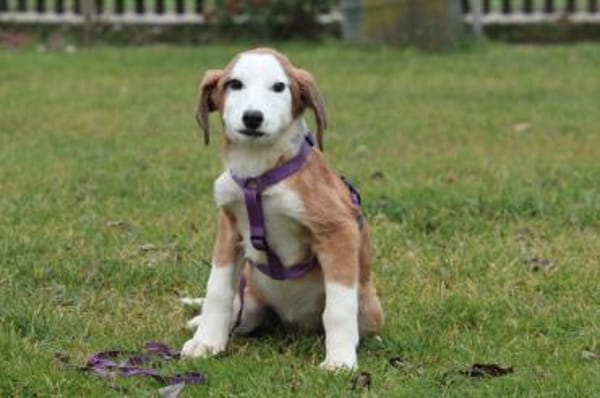 Emrina unsere kleine Schönheit