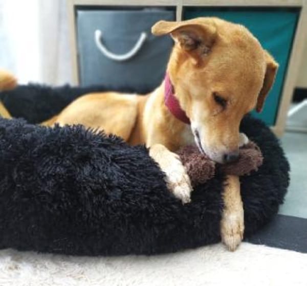 Carlos , Spanier im Besten Alter :)