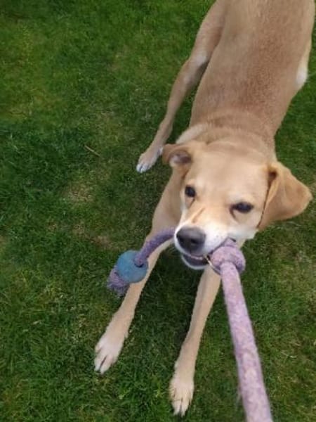 Carlos , Spanier im Besten Alter :)