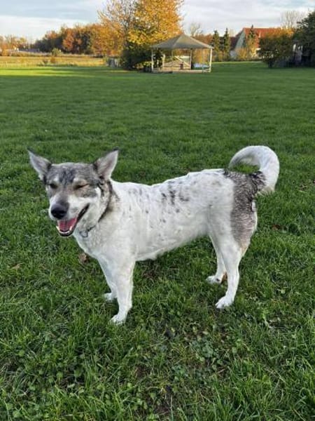 FENJA möchte endlich ankommen