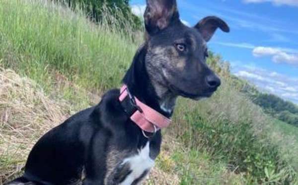 Wird Amika deine beste Freundin?